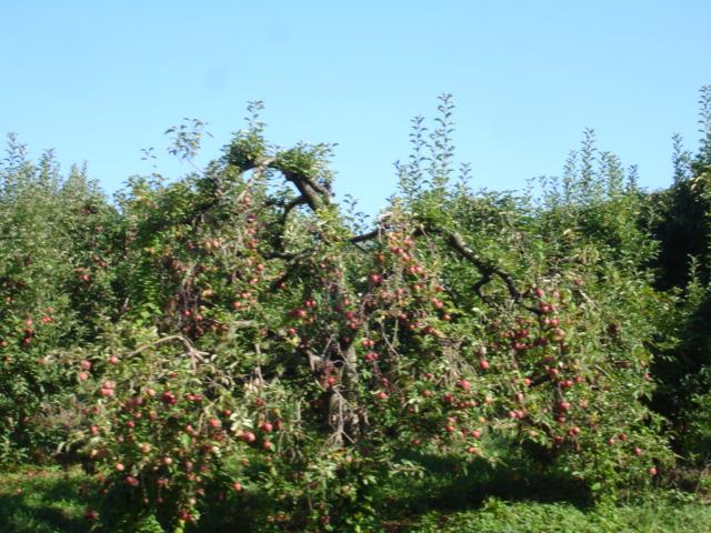 Photo by Mountaingirl200