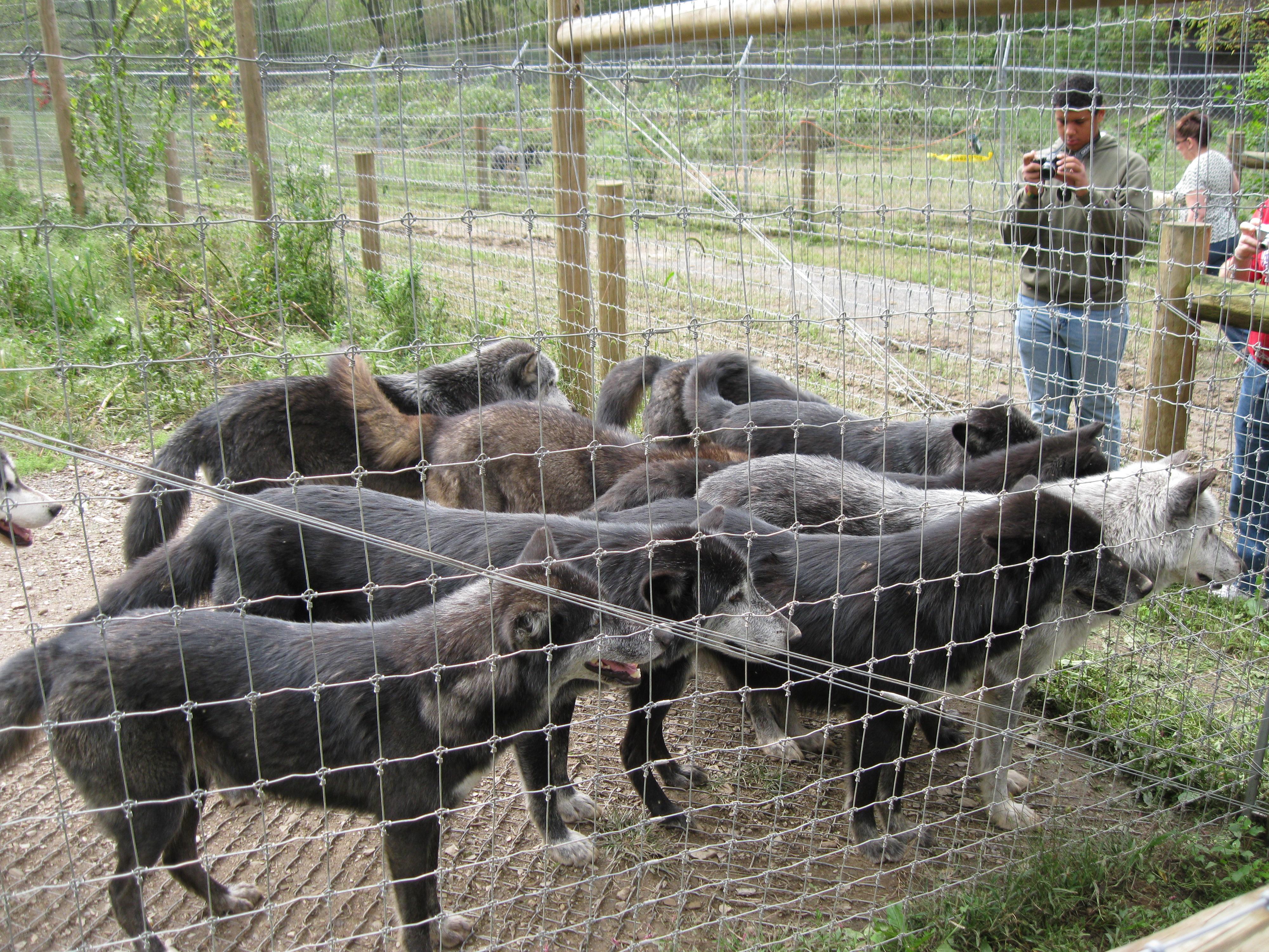 Beiler's Guest House Rooms & Suites