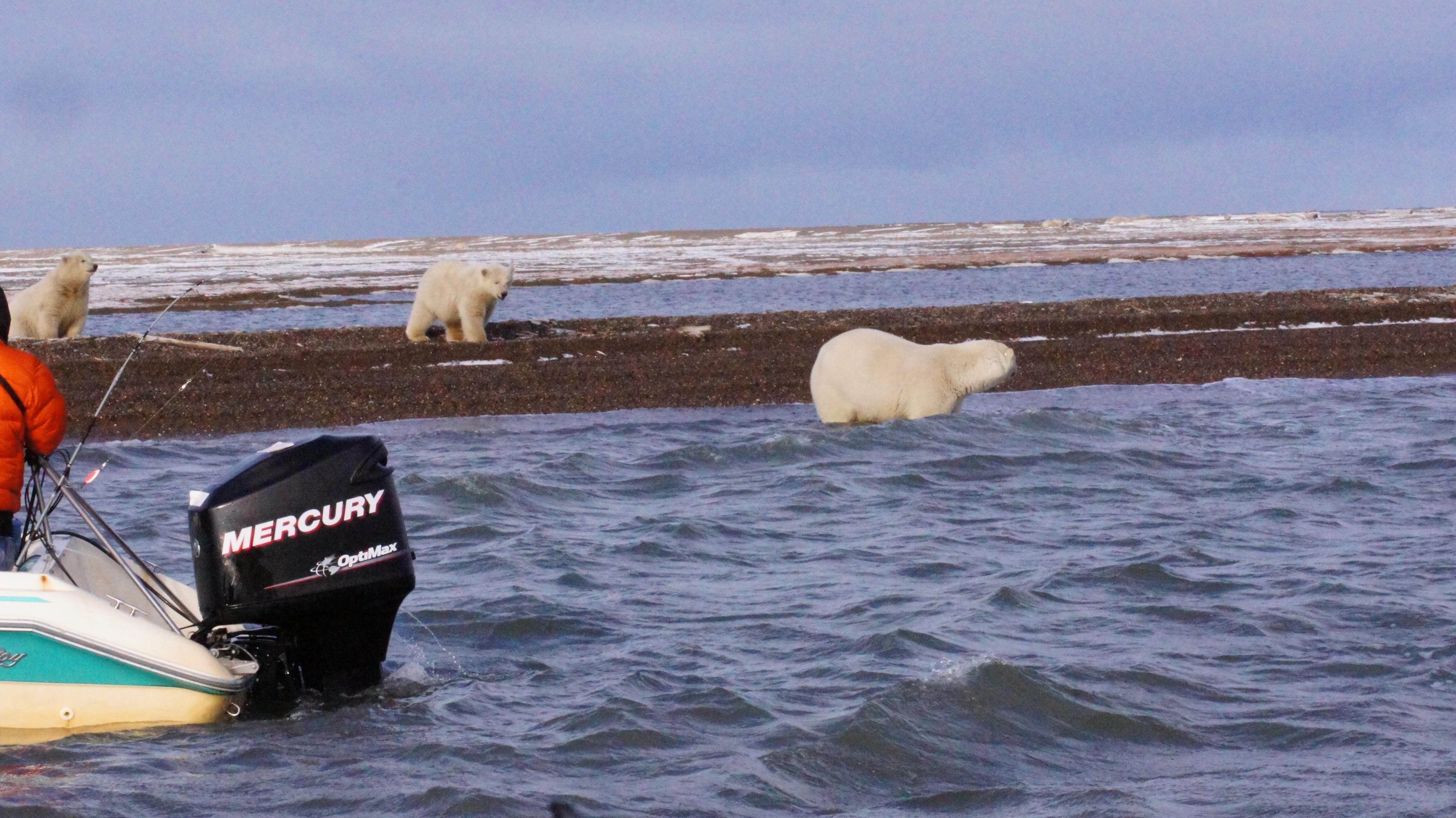 Photo by TerminationDust