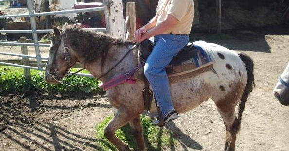 Rolling Hills Ranch
