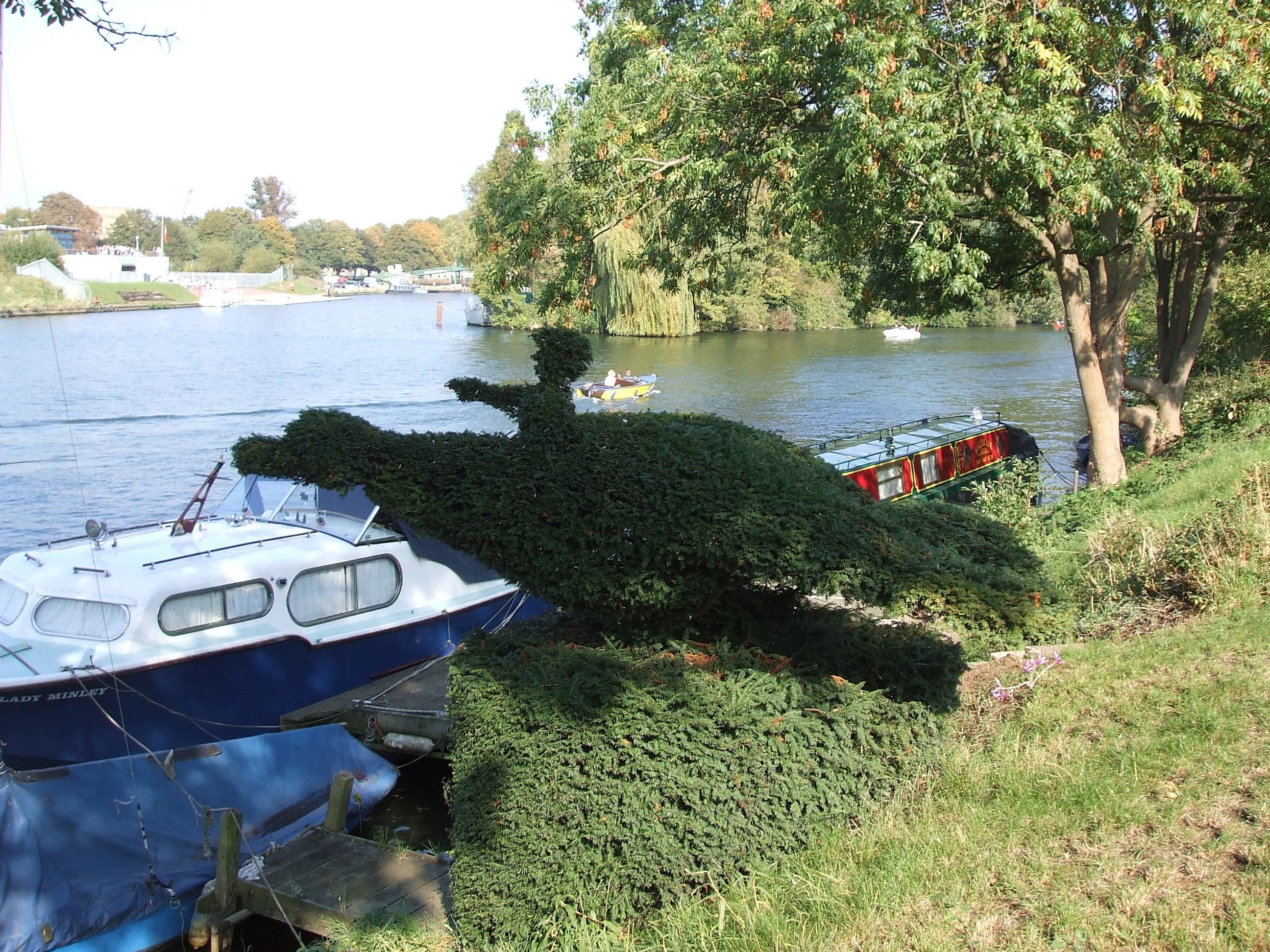 Kingston upon Thames - Shepperton Ferry Trail