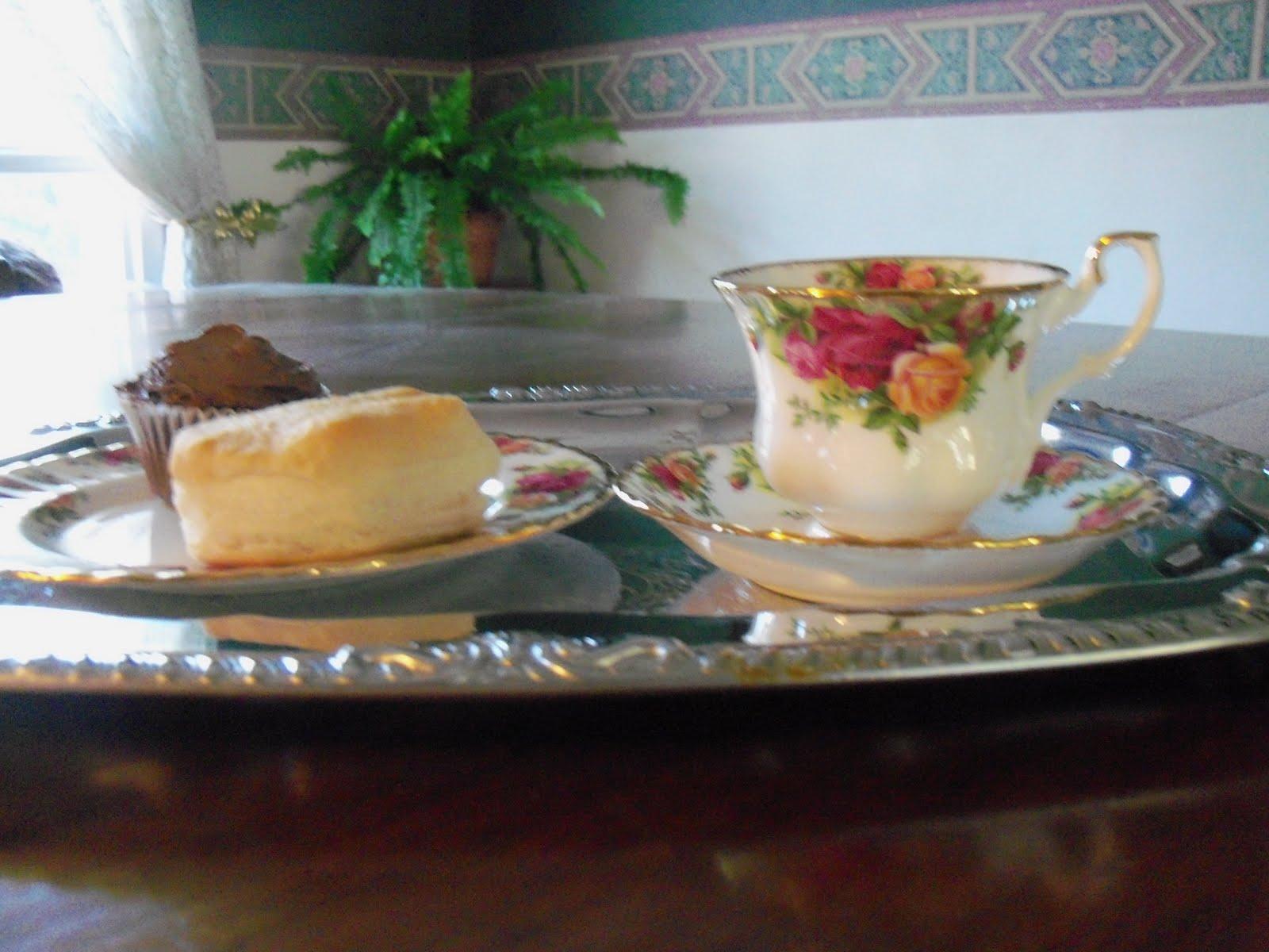 Charleston Tea Party Private Tours