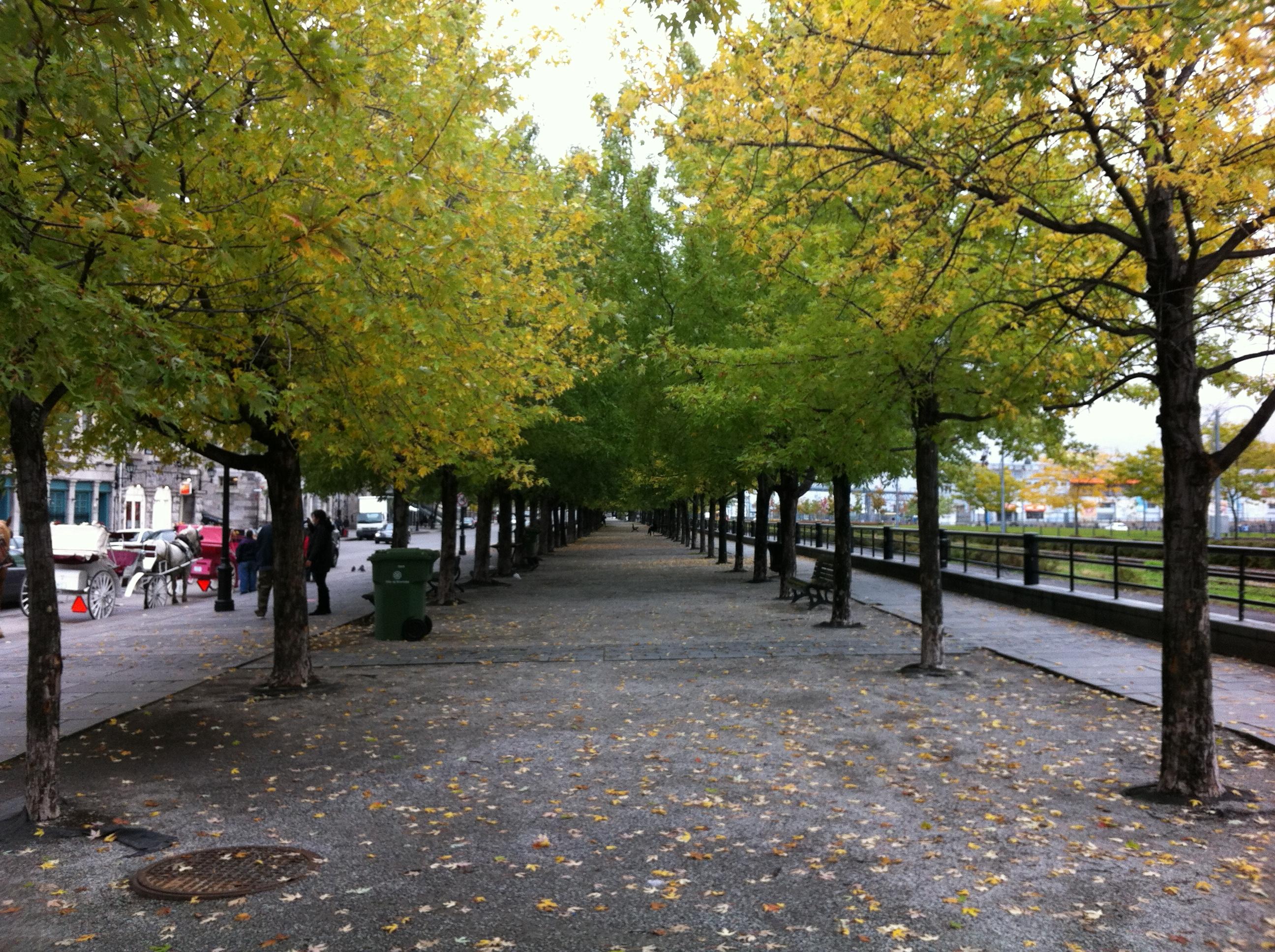 Le Houseboy Bed & Breakfast