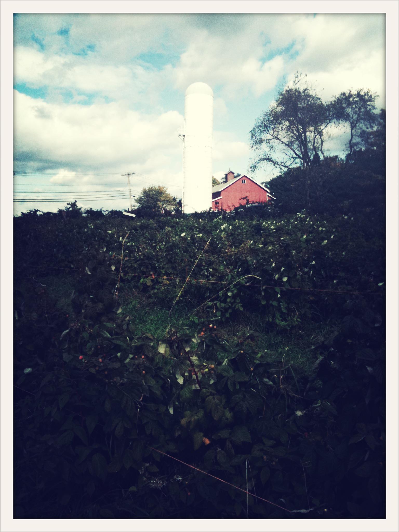 White Silo Farm & Winery