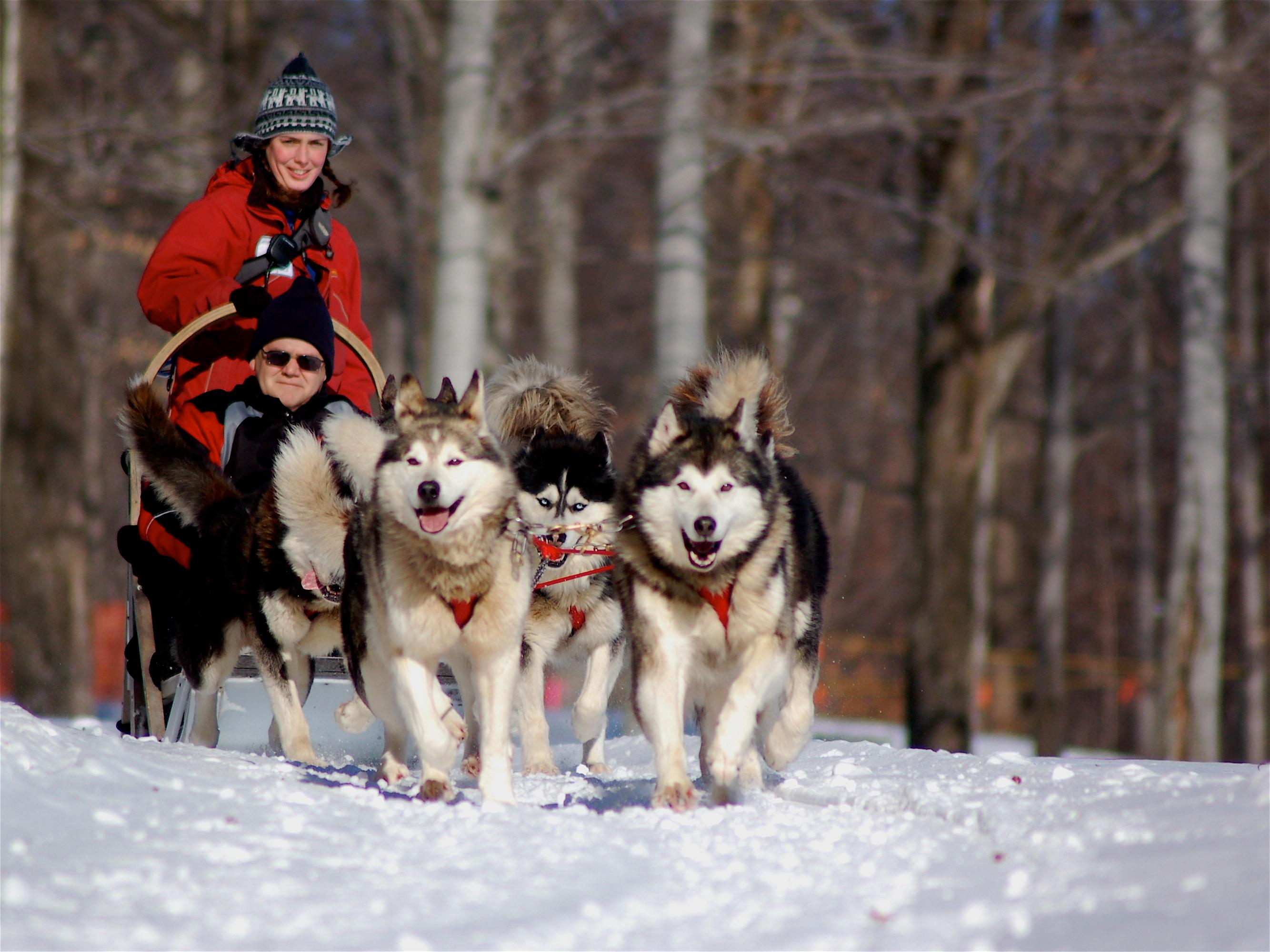 Secrets Nordiques Day Tours