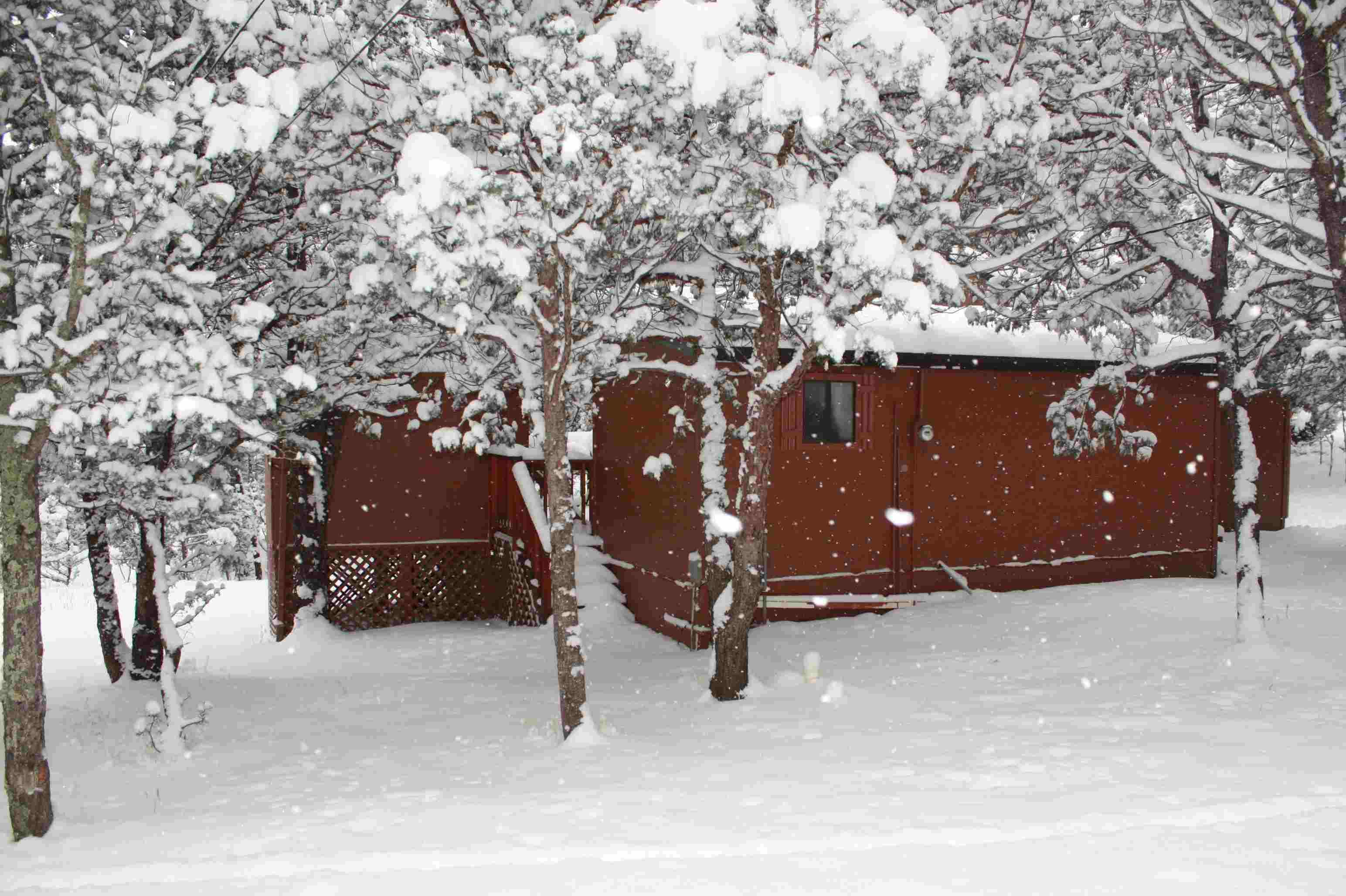 Photo by retiree1986