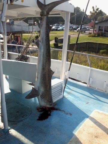 Photo by cooldudebrb