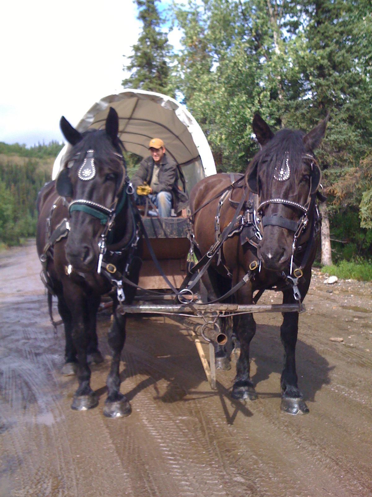 Black Diamond Resort Company