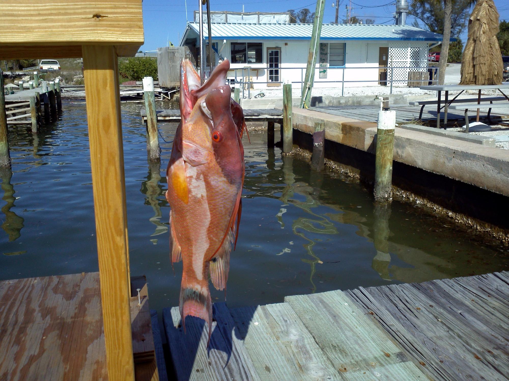Blue Water Explorers