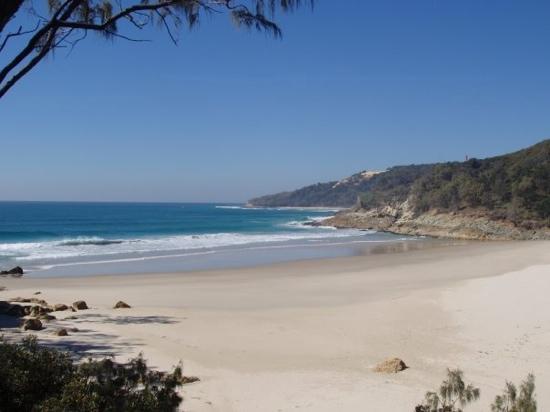 Photo by HappyWinnie