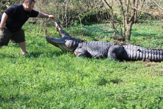 Kliebert & Sons Gator Tours