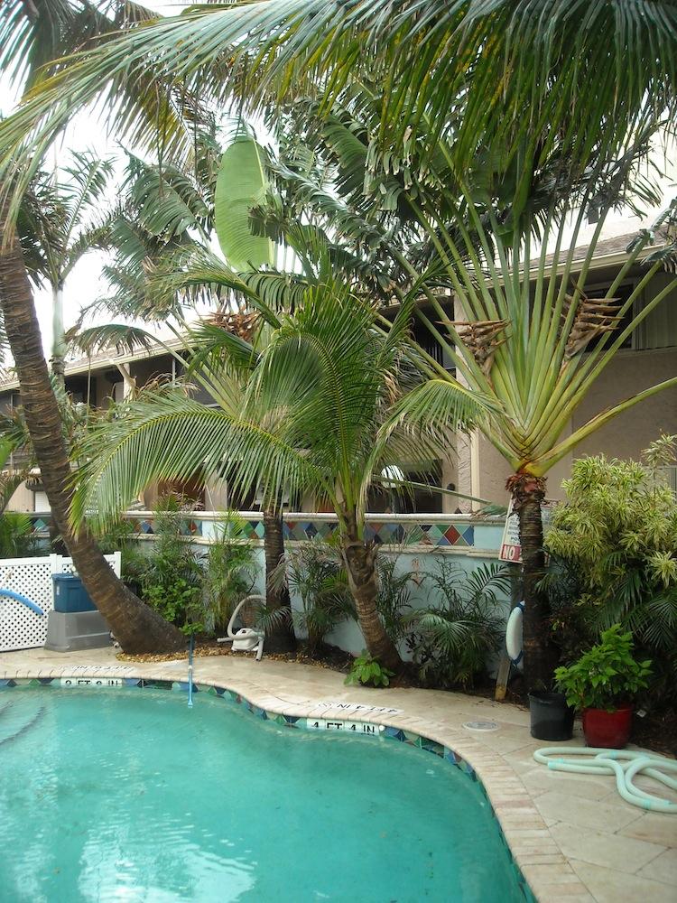 Photo by worldpainter