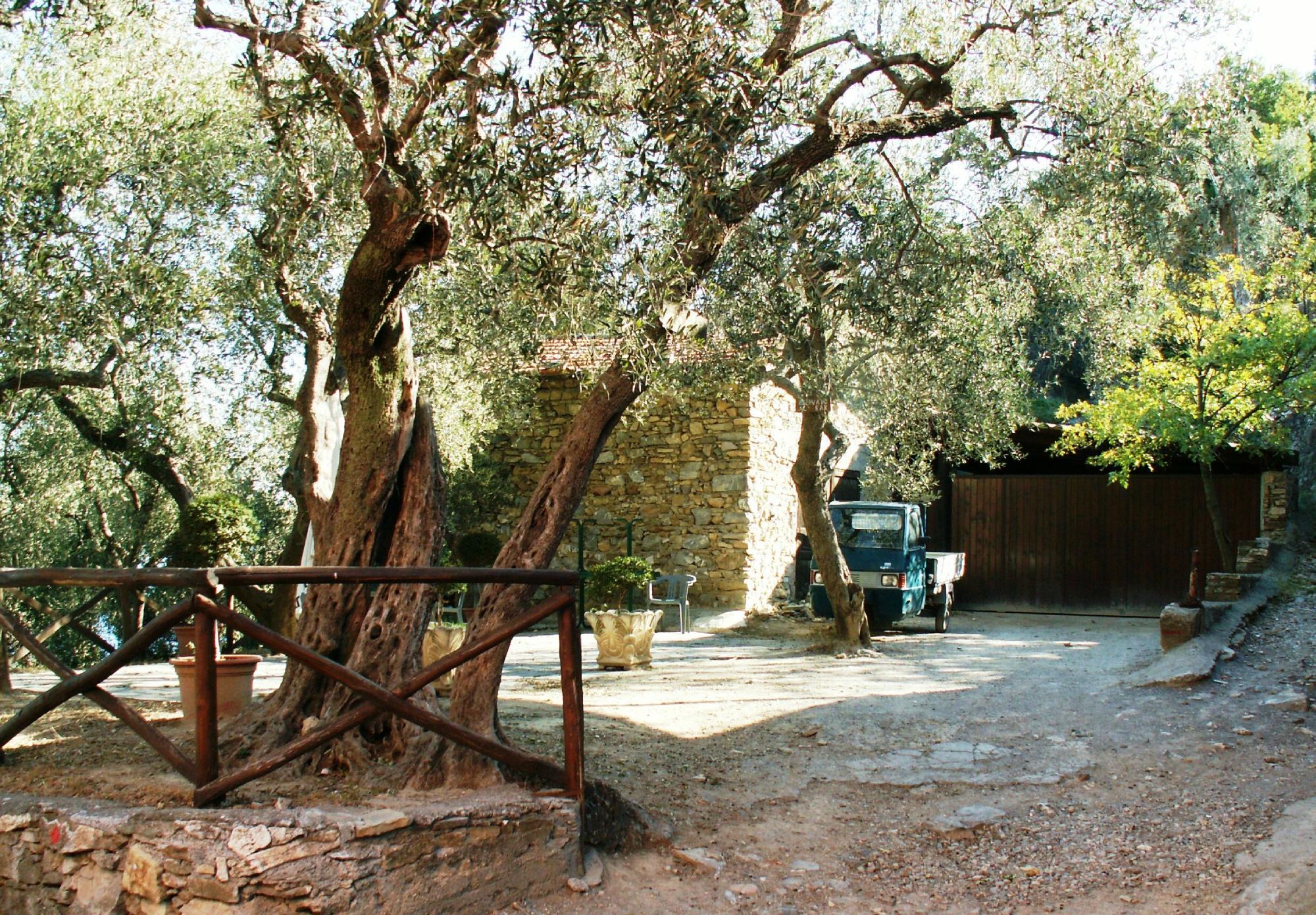 Osteria Colla Micheri