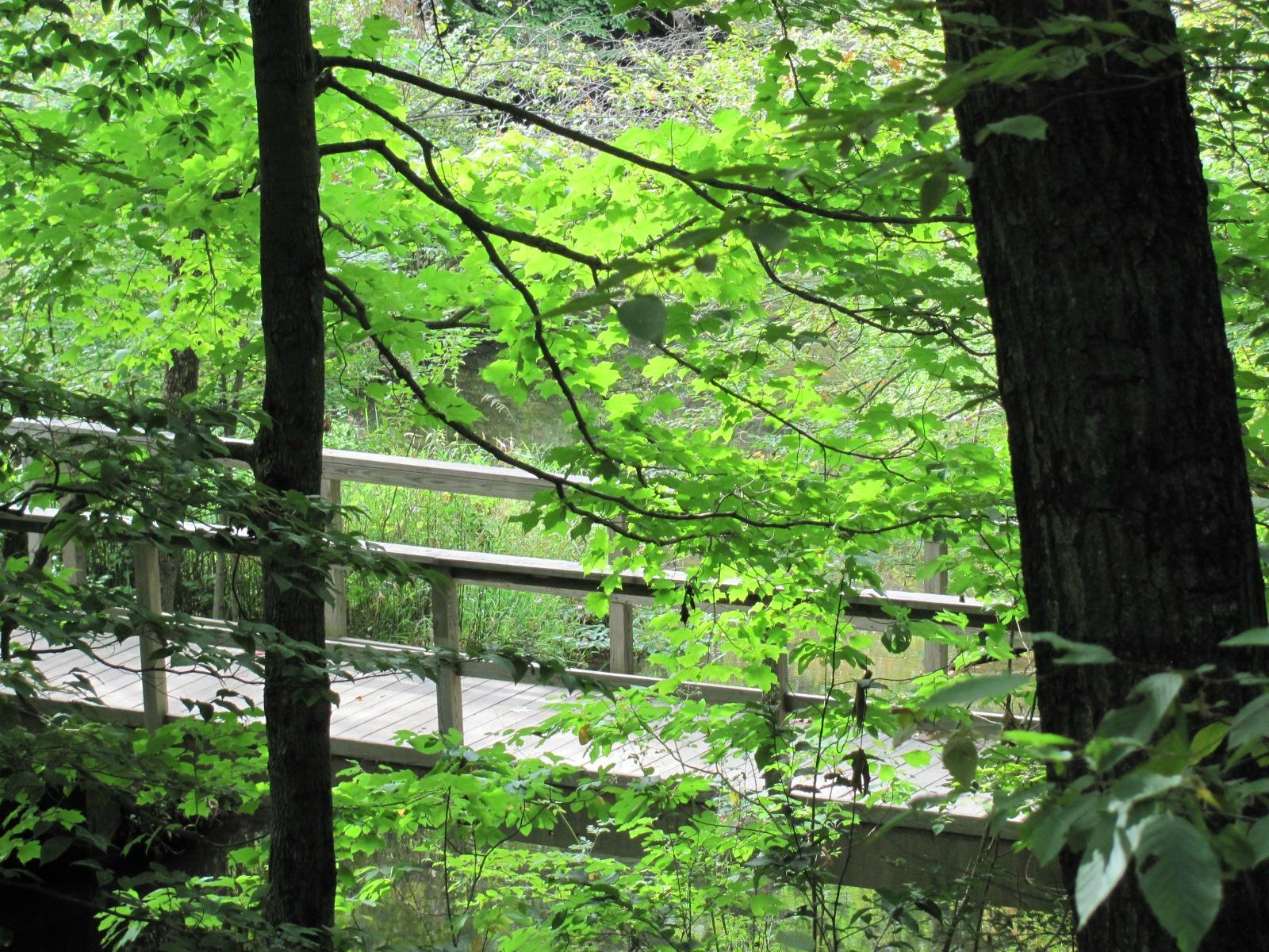 Metamora-Hadley Recreation Area