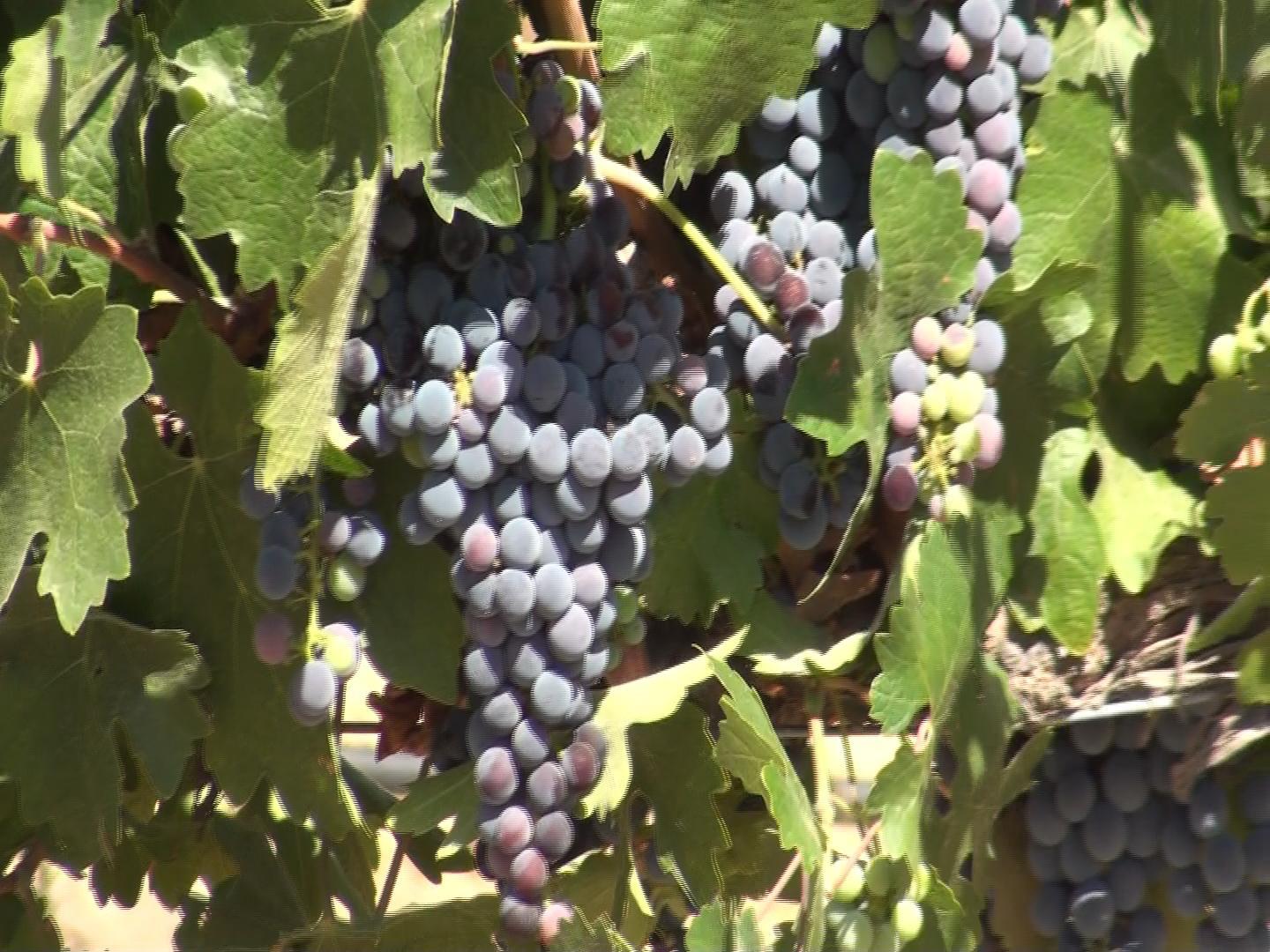 Photo by amazingmary