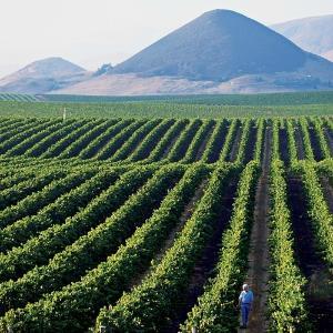 Breakaway Tours Wine and Events