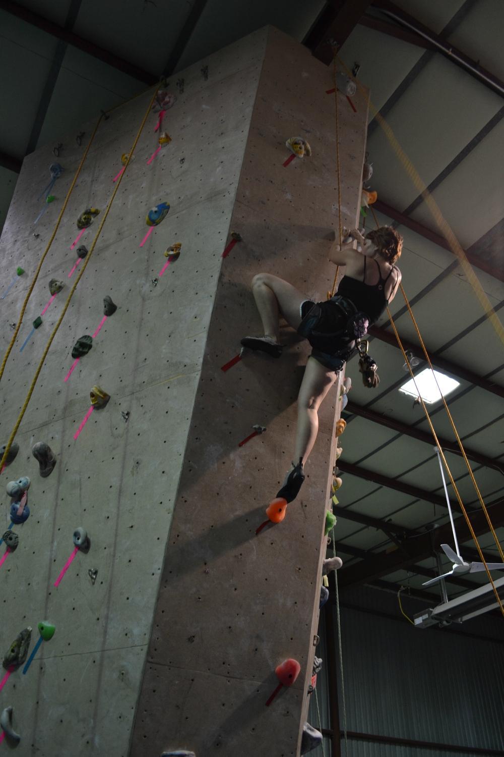 Photo by castleforest