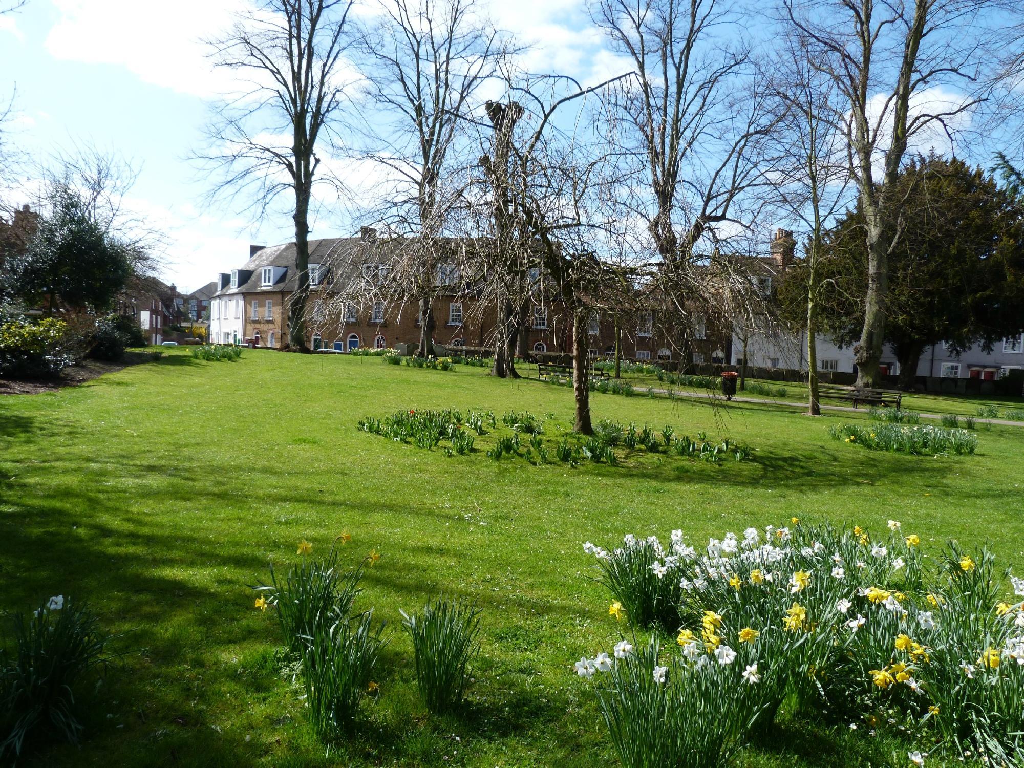 Garden of St Mary de Castro