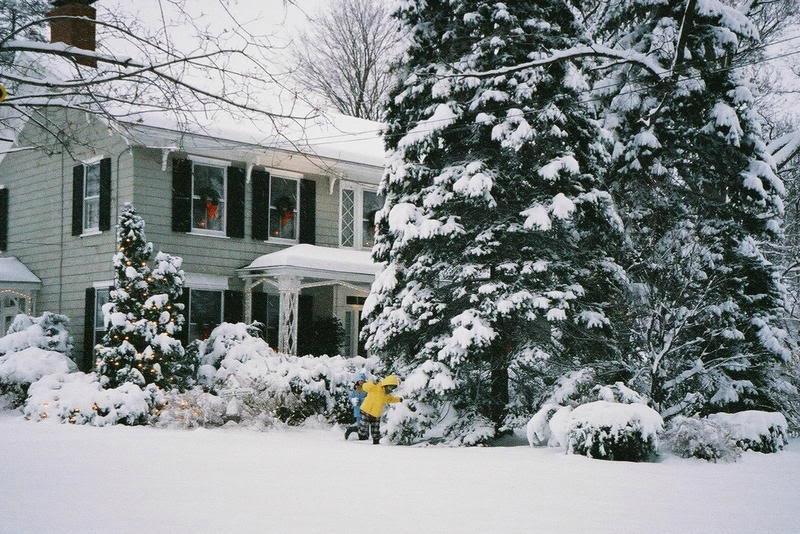 Photo by Freedom421947