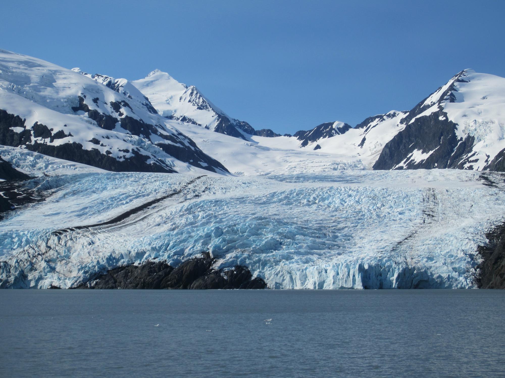 Alaska's Finest Tours & Cruises