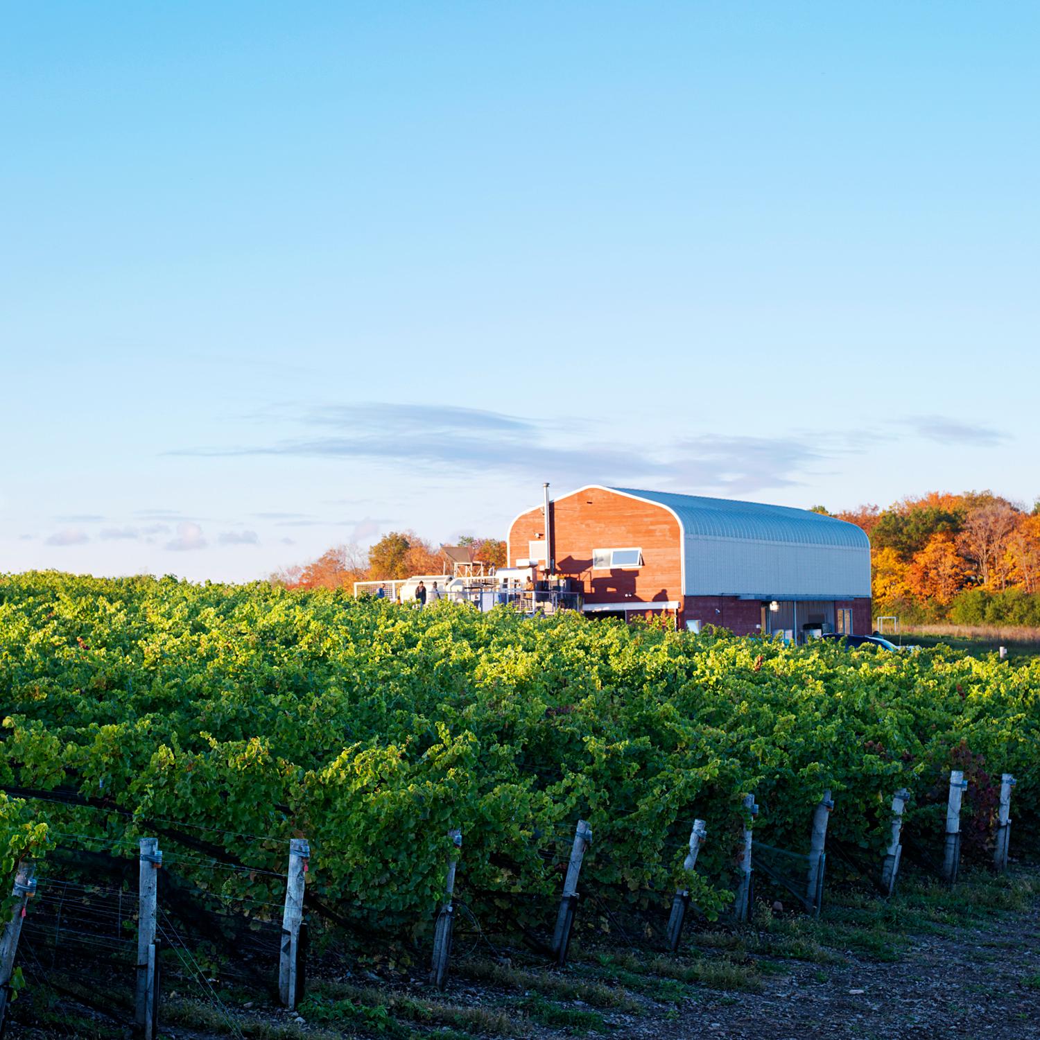 Norman Hardie Winery and Vineyard