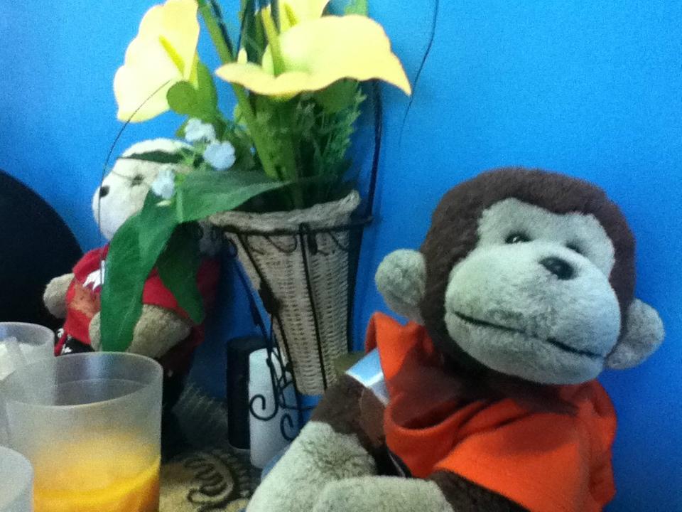 Photo by ChipoChipolini