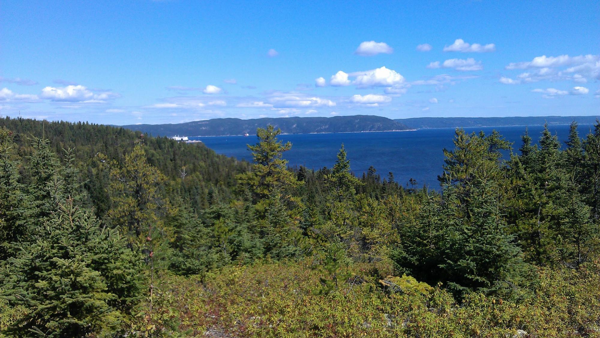 Boise de la Pointe St Gilles