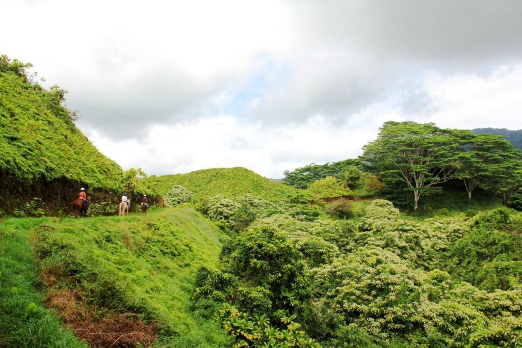Kuilau Ridge Trail