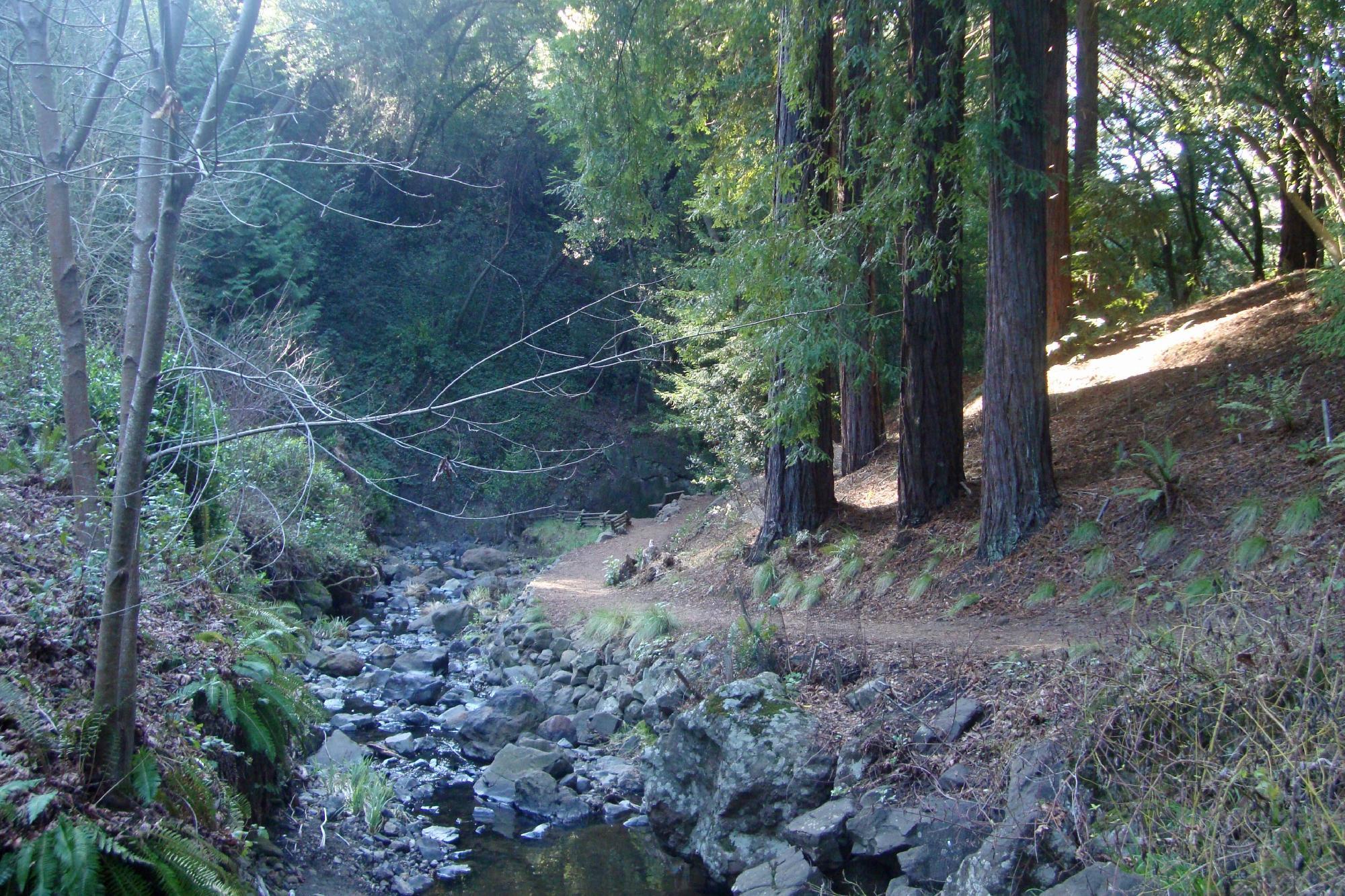 Regional Parks Botanic Garden