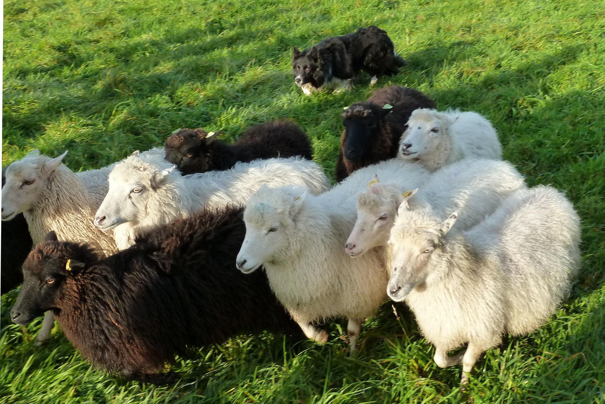 B&B Buitenplaats Natuurlijk Goed