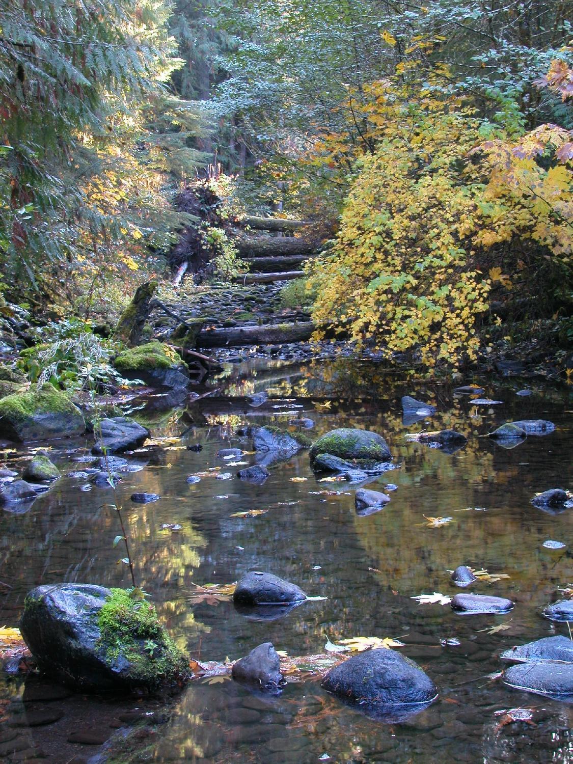 Forest Service Road 19