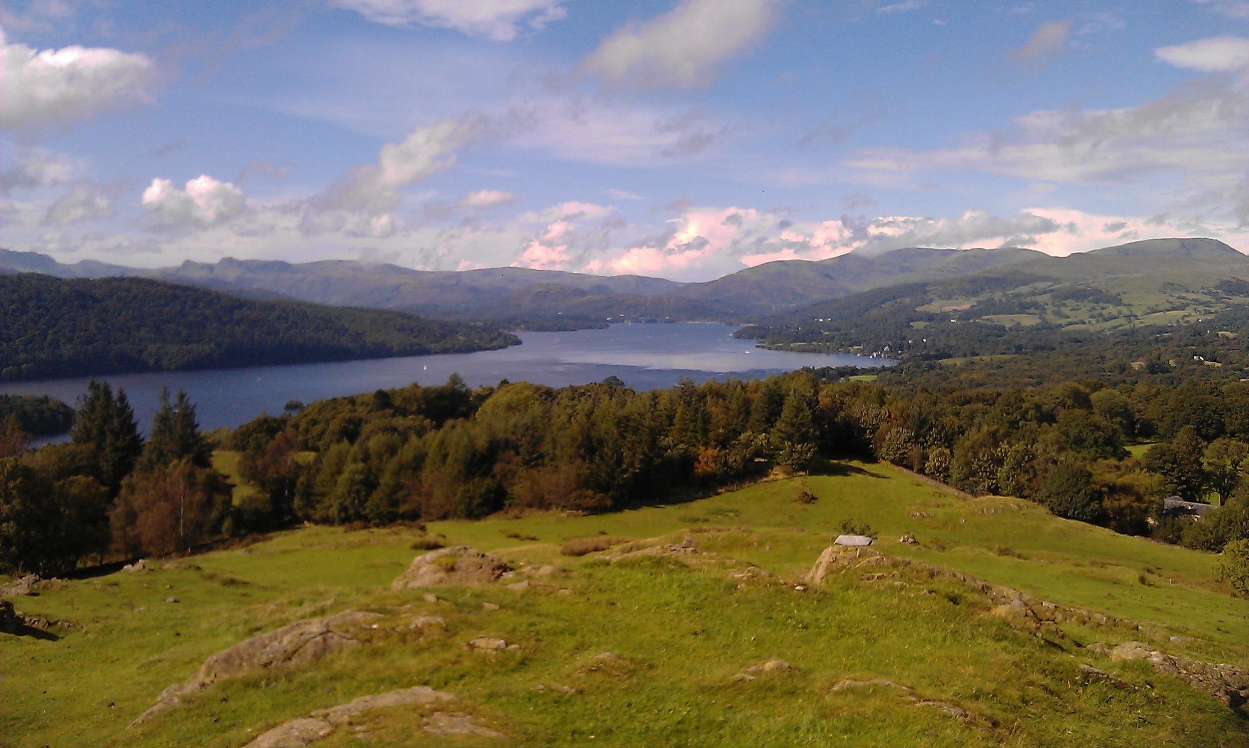 Brant Fell Above the Bustle