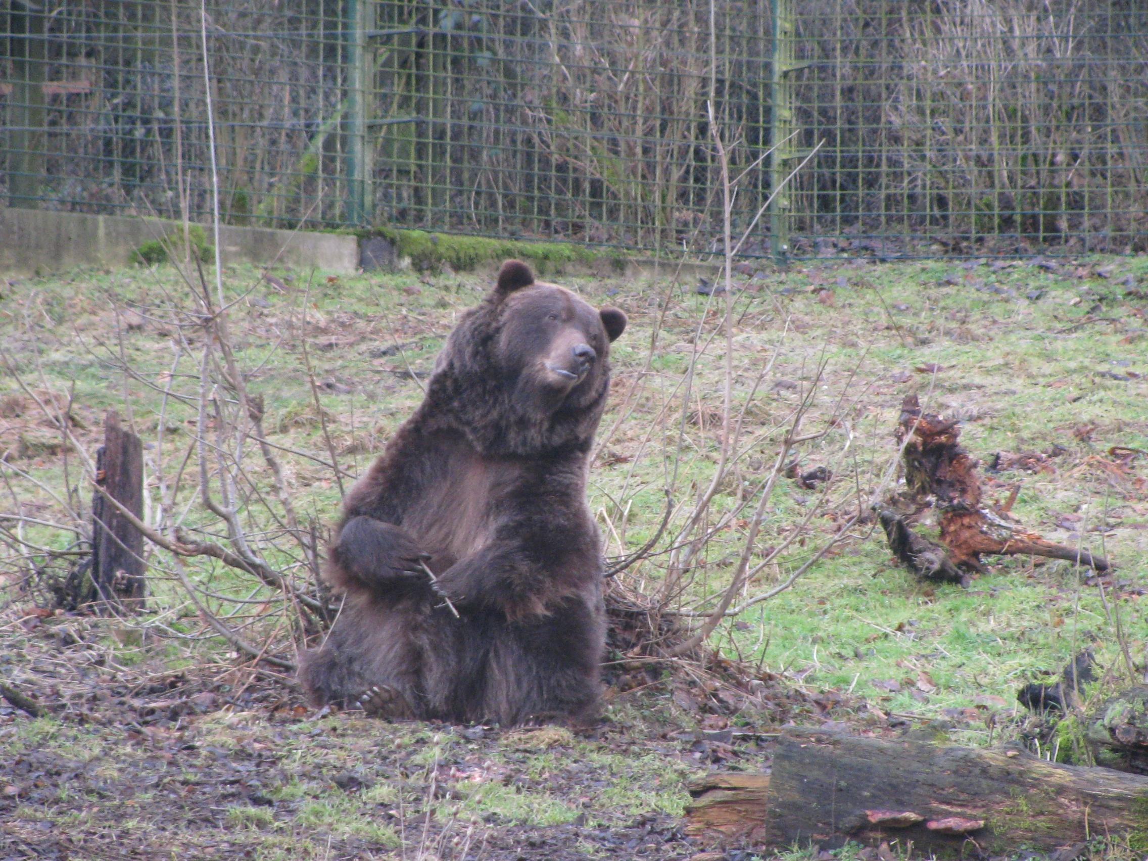 Heimat-Tierpark Olderdissen