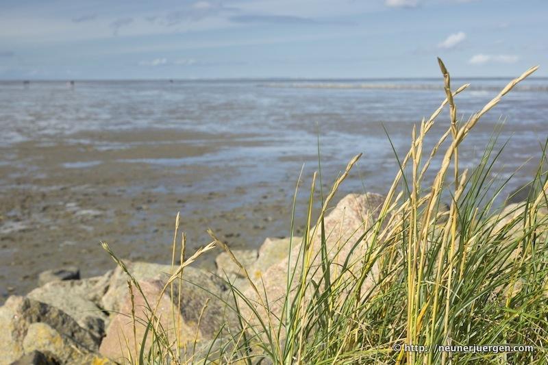 The Wadden Sea, Germany