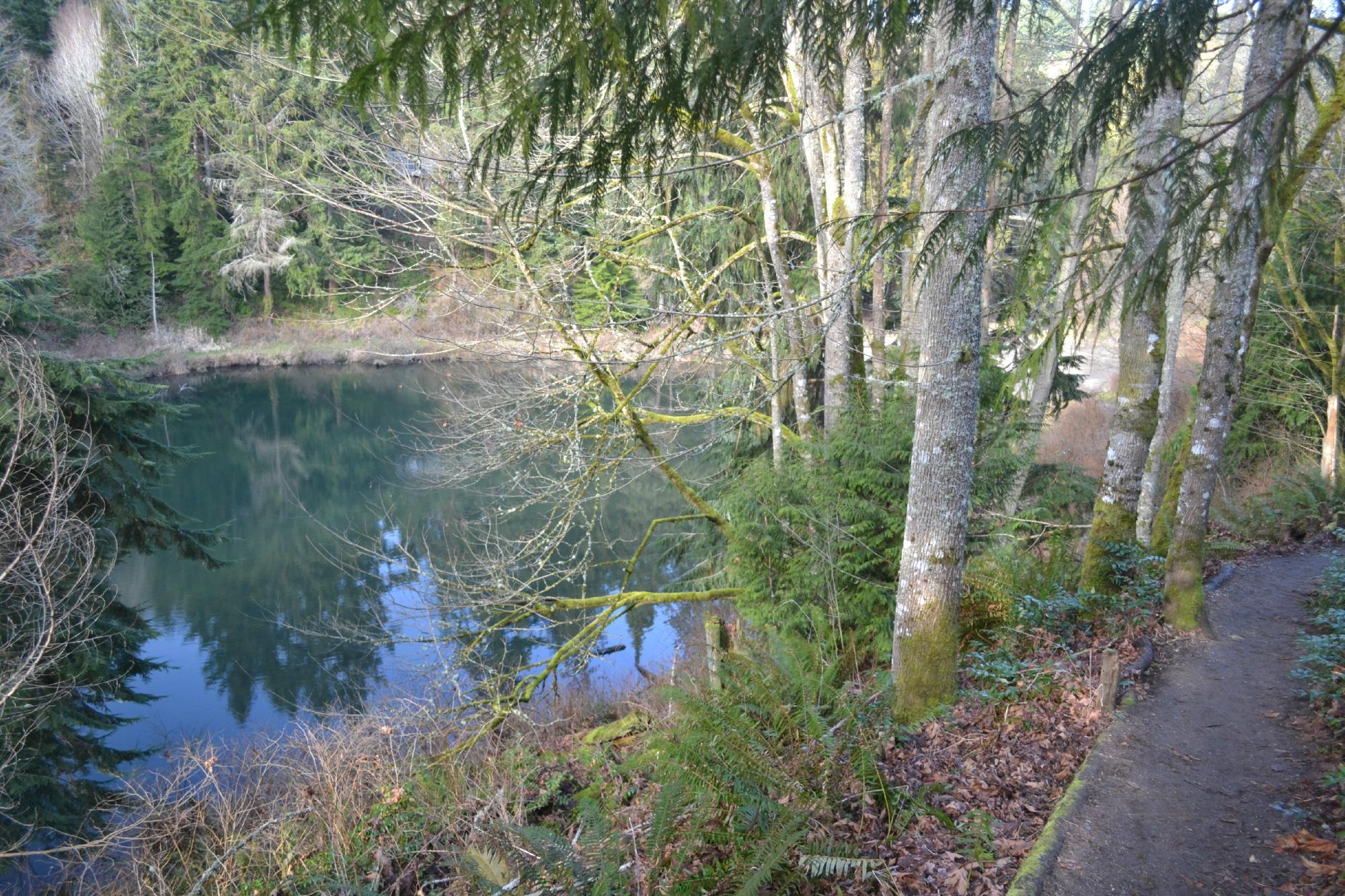 Boeing Creek Park