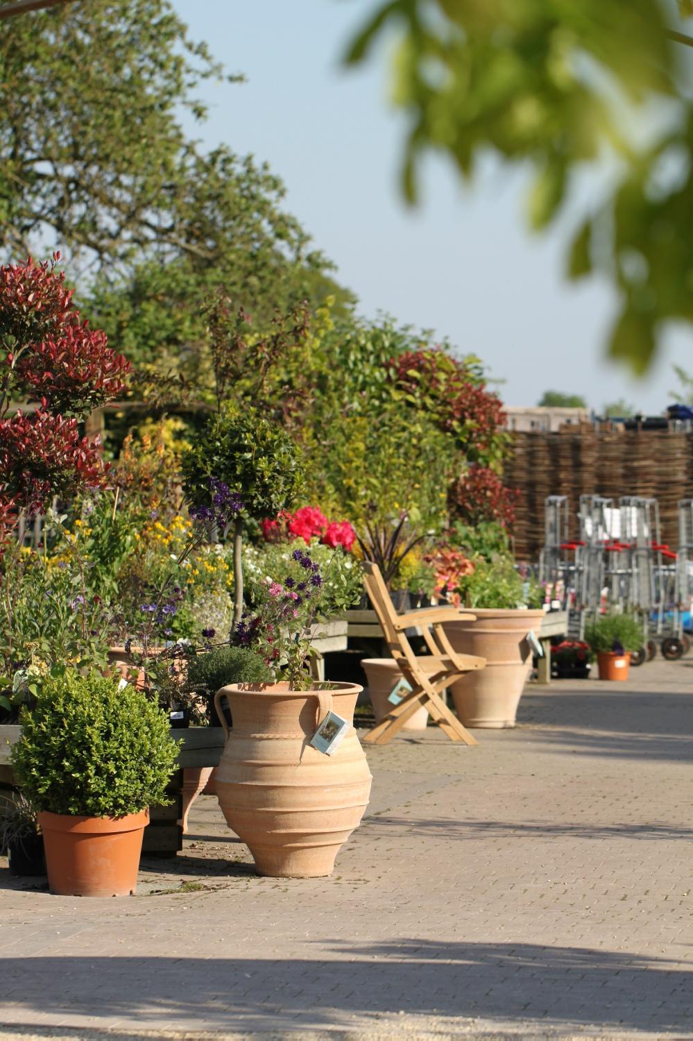 The Walled Garden Centre