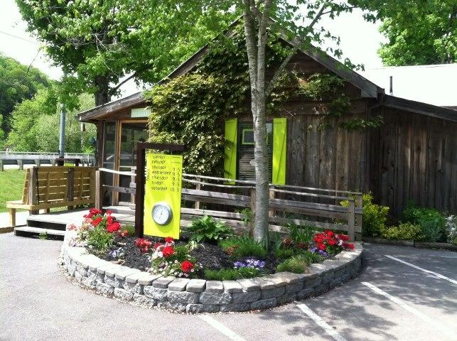 Cakes by Bakin' Bishop