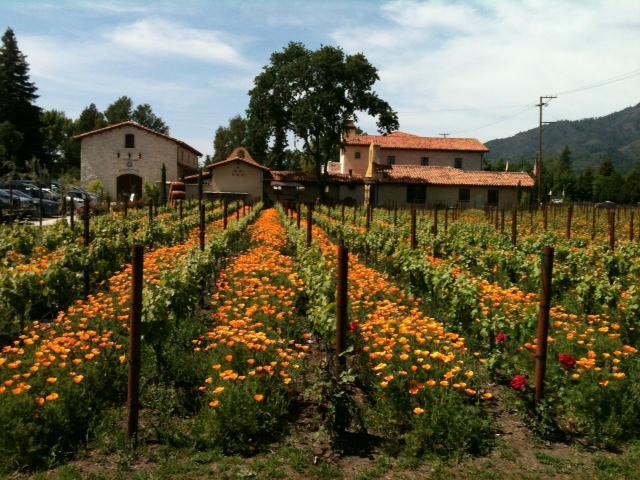 VJB Vineyards & Cellars