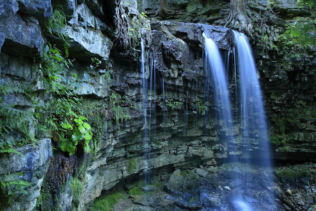 Hilton Falls Conservation Area