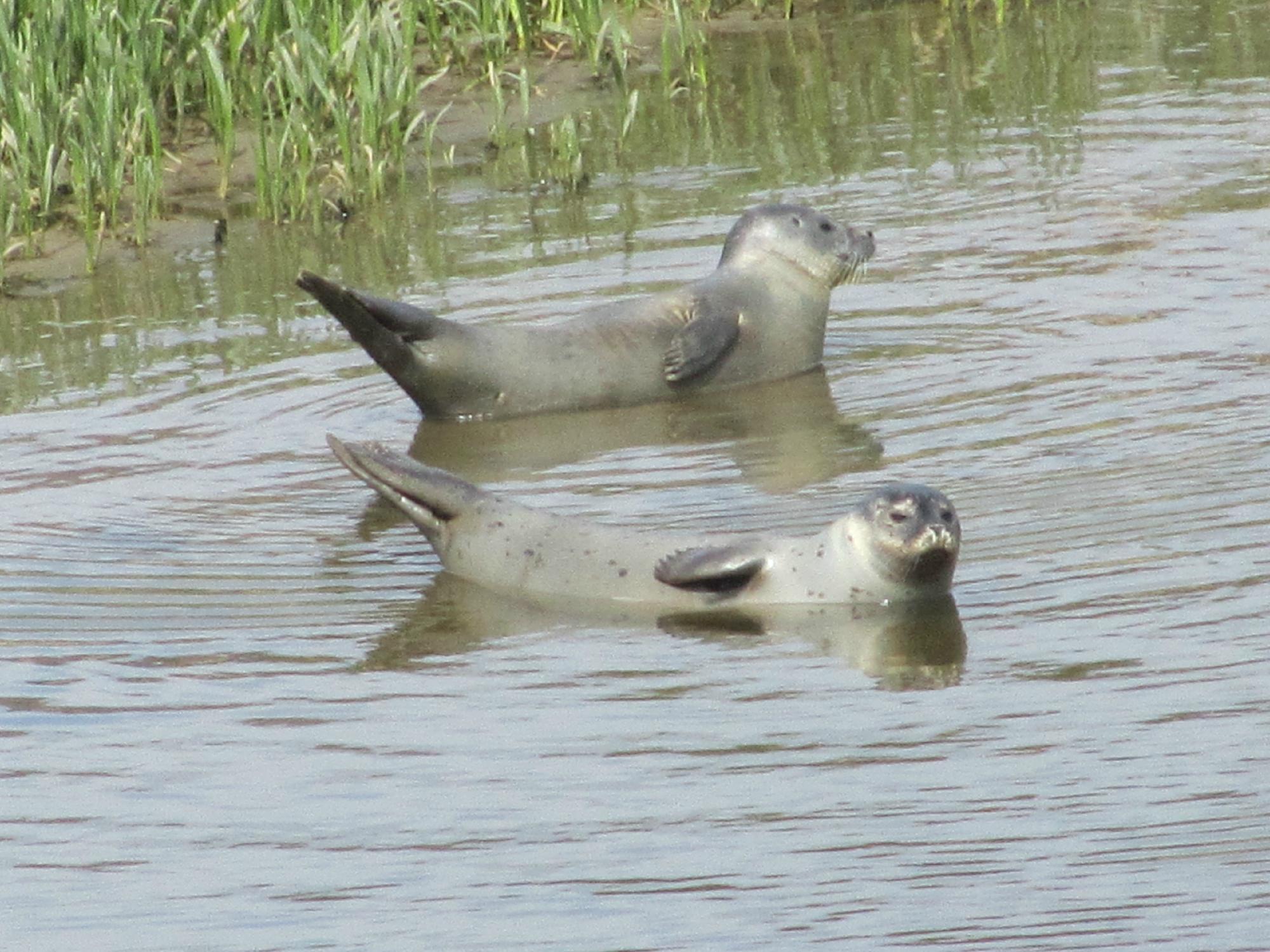 Donmouth Local Nature Reserve