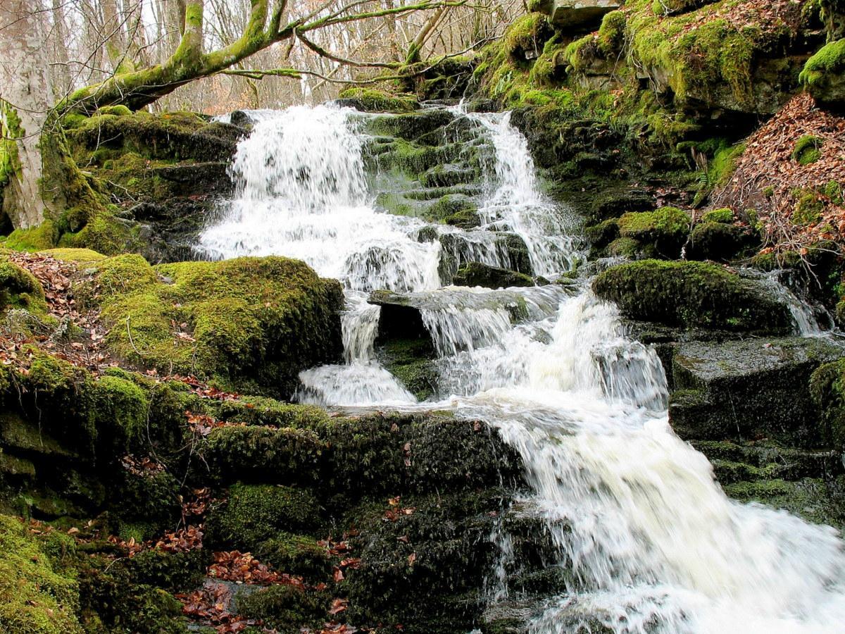 The Birks of Aberfeldy