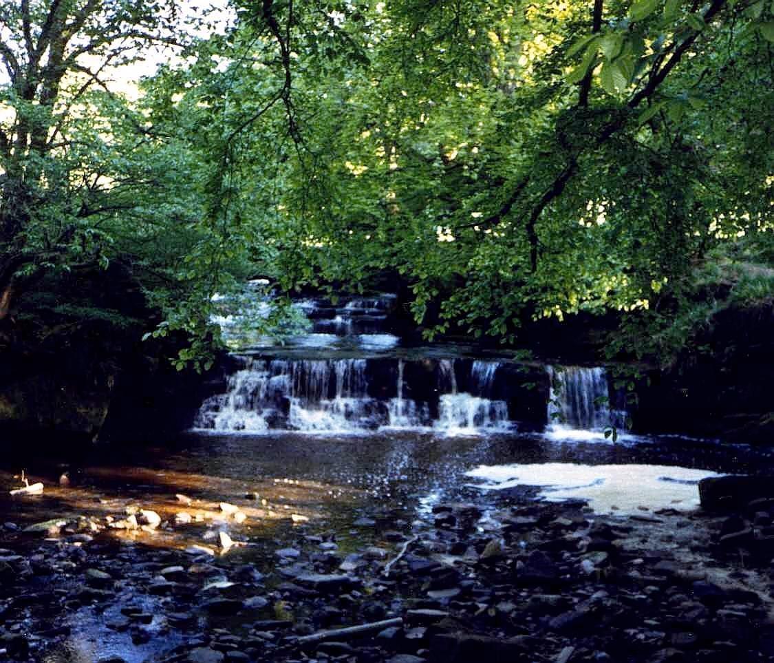 Calderglen Country Park