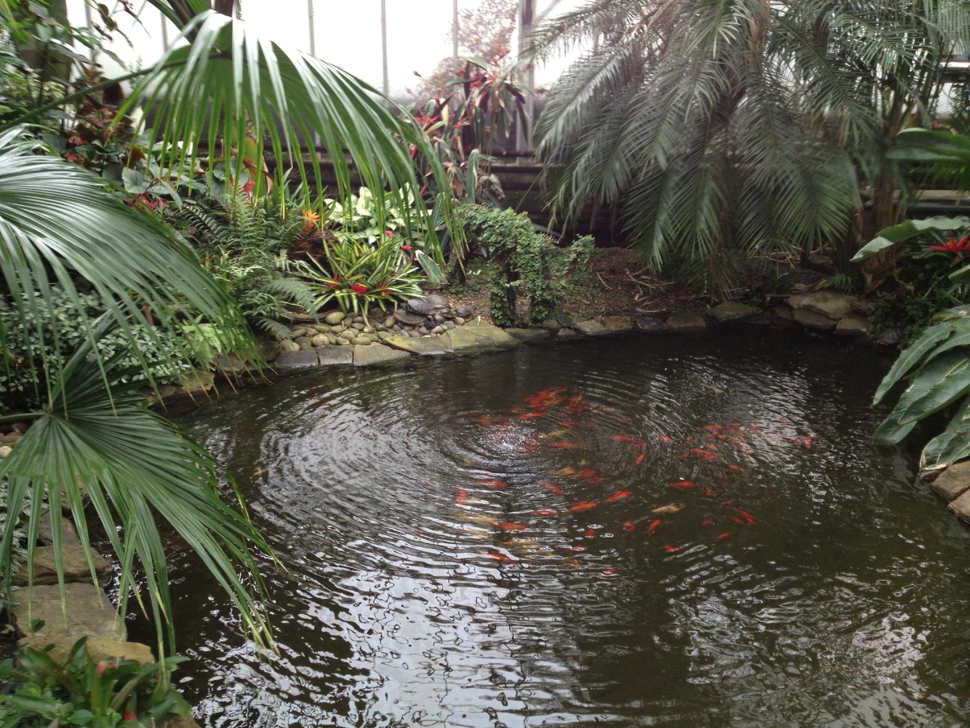 Manor Heath and Jungle Experience