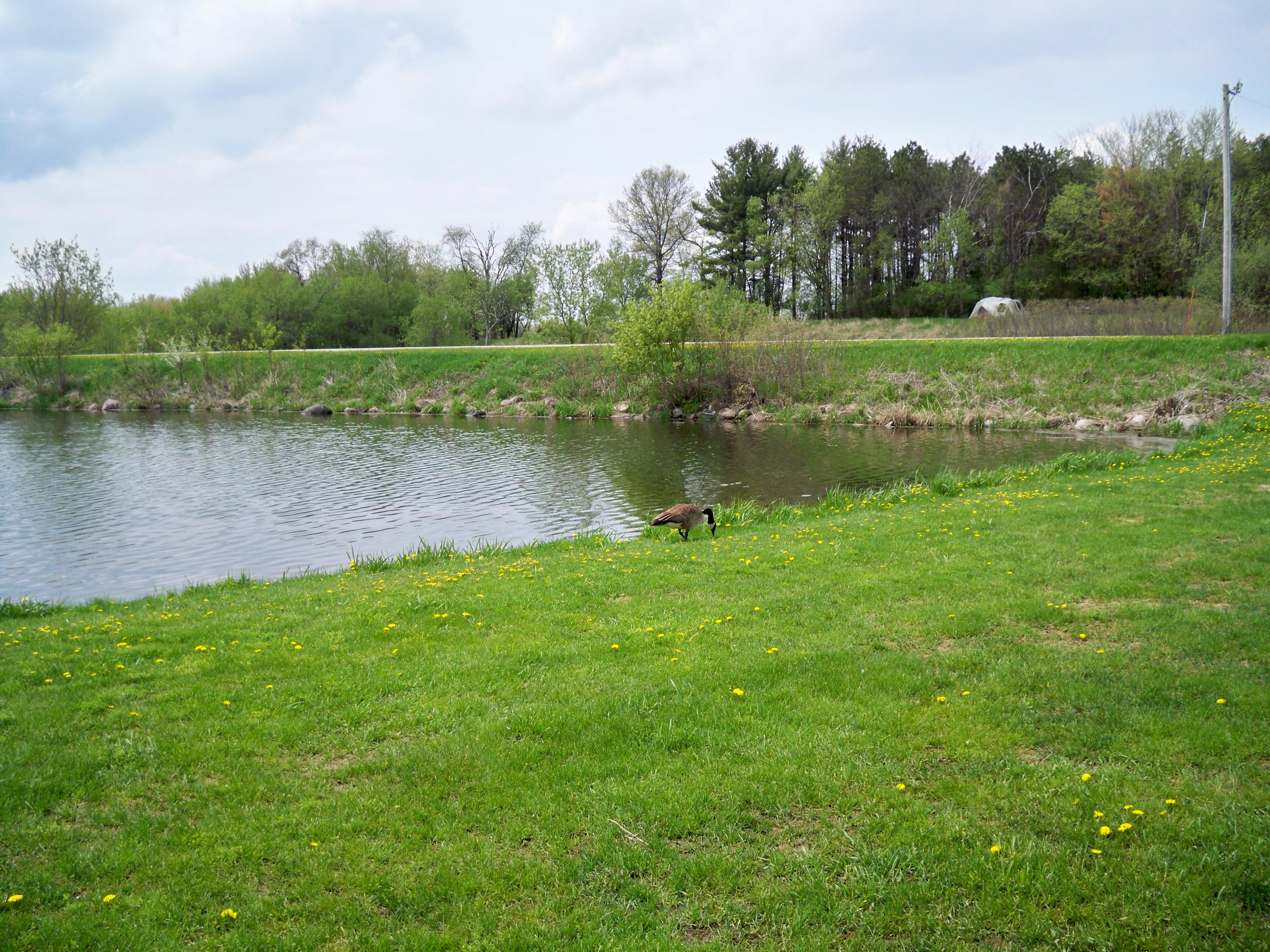 Le Roy, MN Map & Directions MapQuest