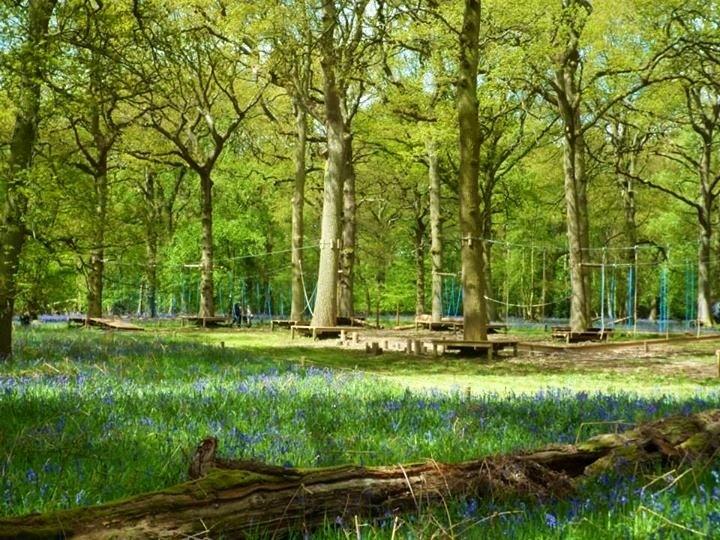 Umberslade Adventure