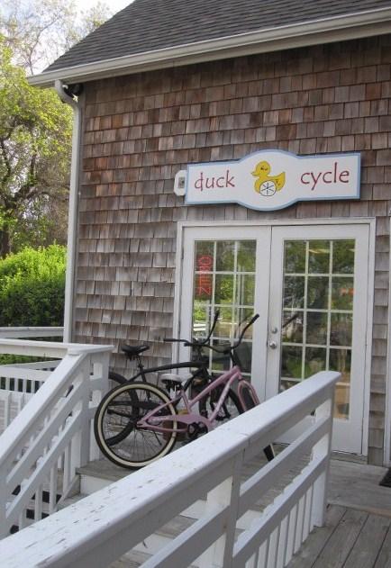 Duck Cycle