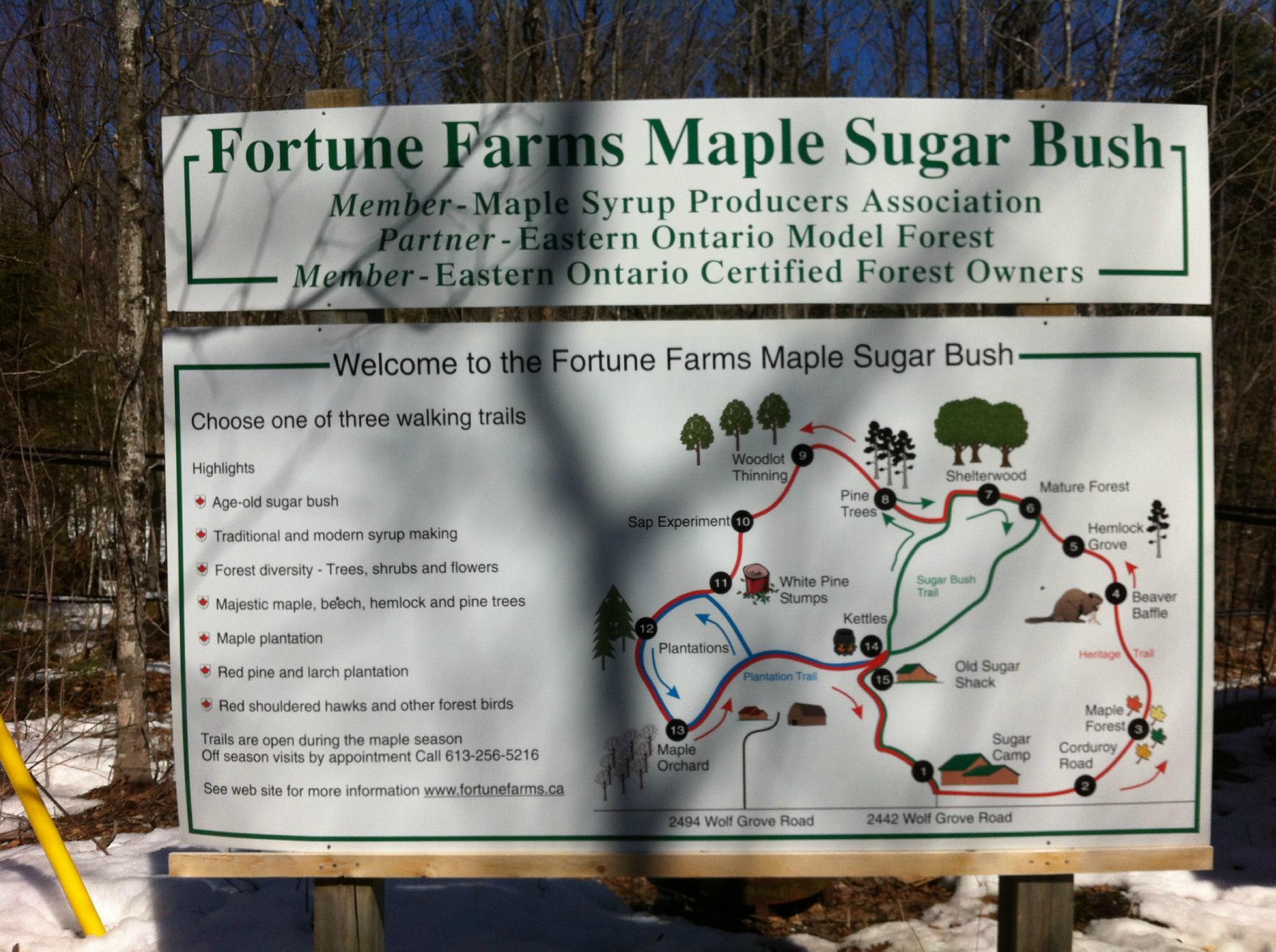Fortune Farms