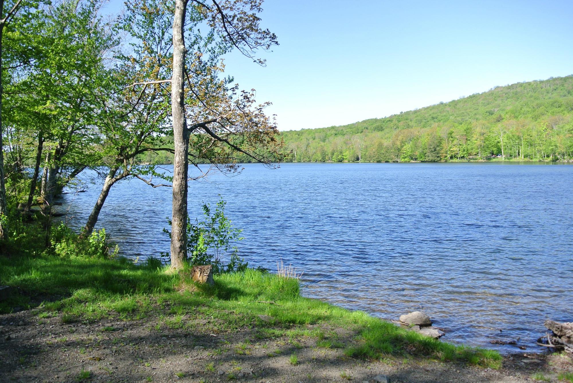 Photo by JacquiFleming