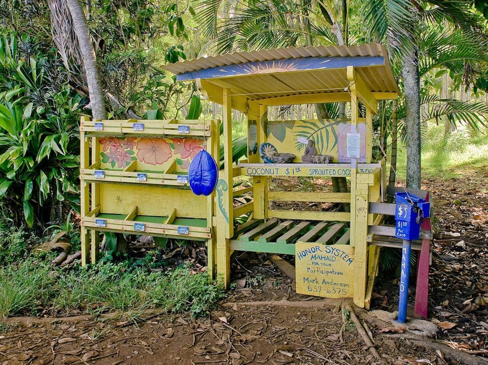 Tread Lightly Kauai Tours- Private Day Tours