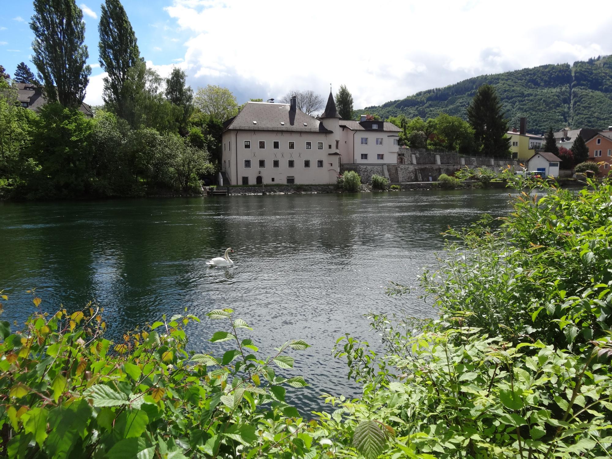 Treppelweg entlang der Traun